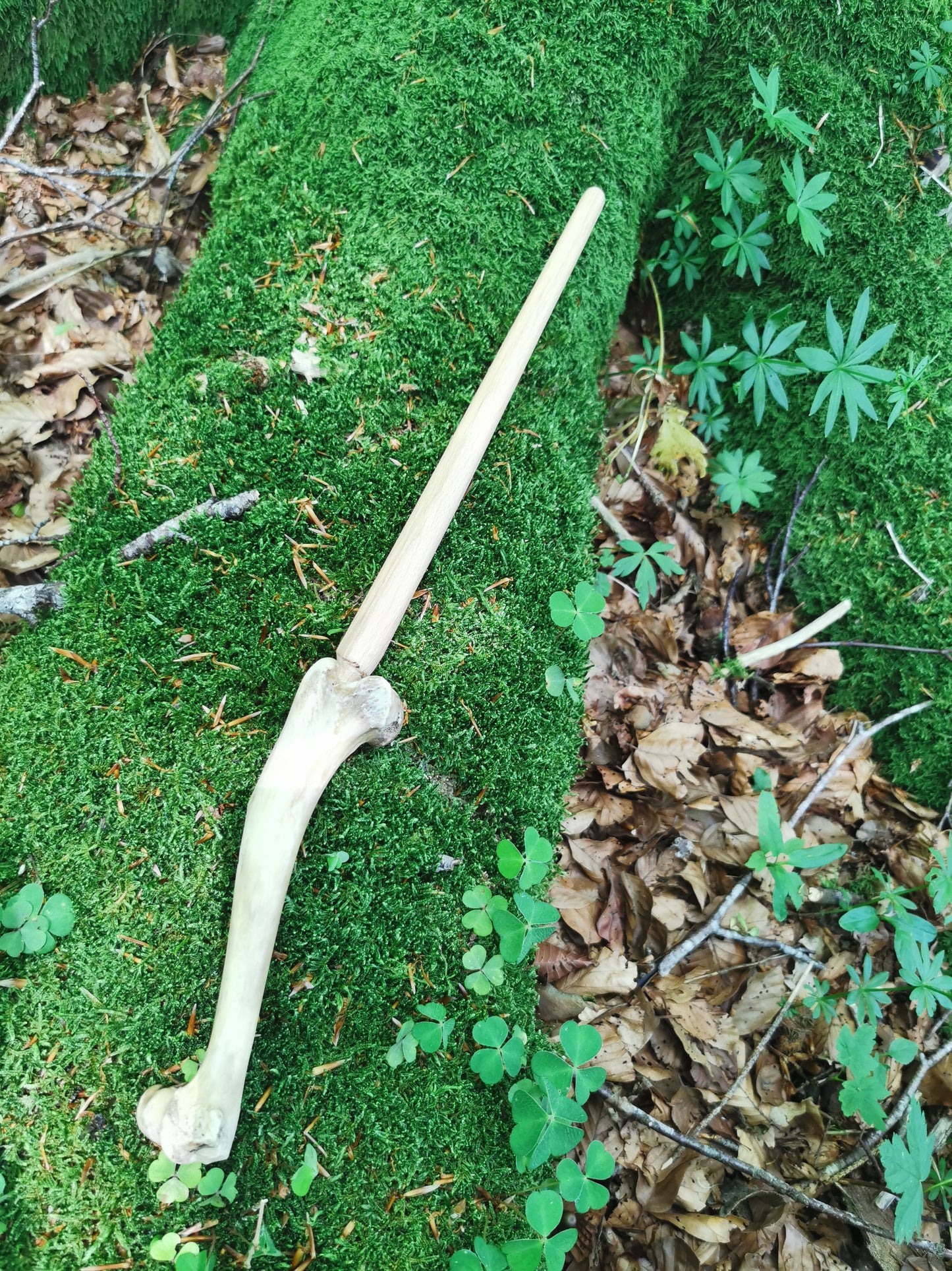 Wand - Madadh-Allaidh