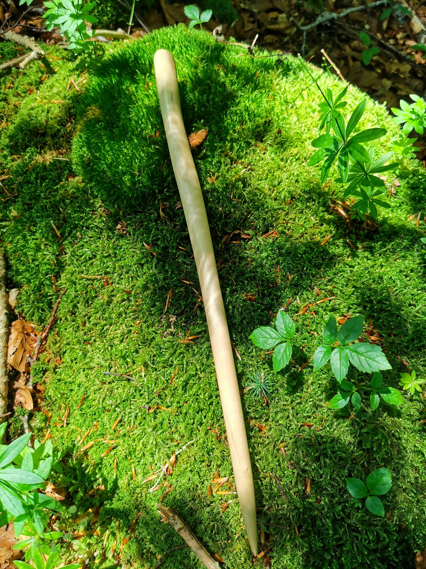 Wand - Der Finger Boron`s